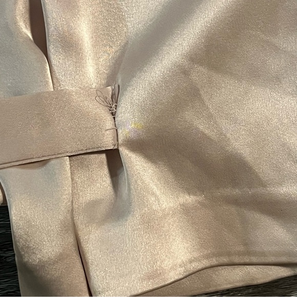 Aritzia Babaton Refined Satin Cargo Pants Denude Size 4 - Picture 7 of 16